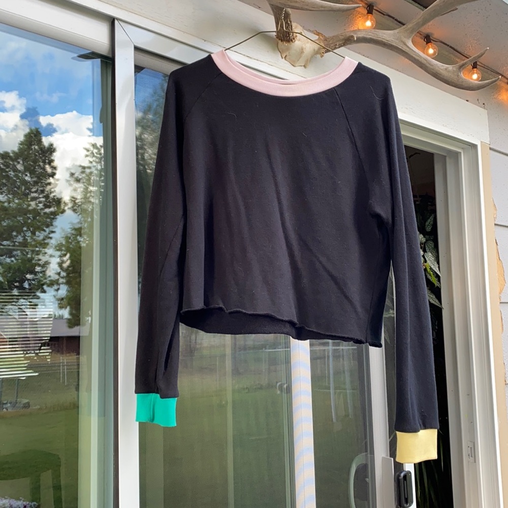 Wildfox color block cropped Sweatshirt
